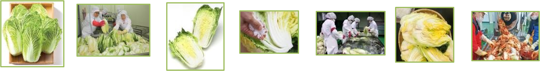 Quy trình các bước sản xuất kim chi